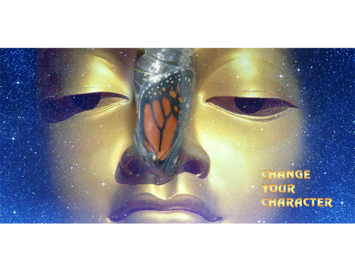 changeyourcharacter course image