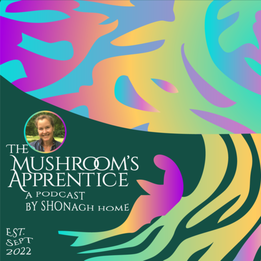 MA podcast brand square