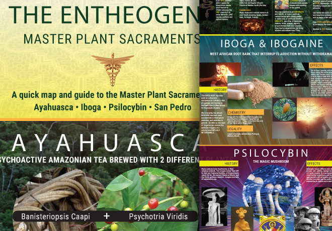 Entheogens: Master Plant Sacraments Poster