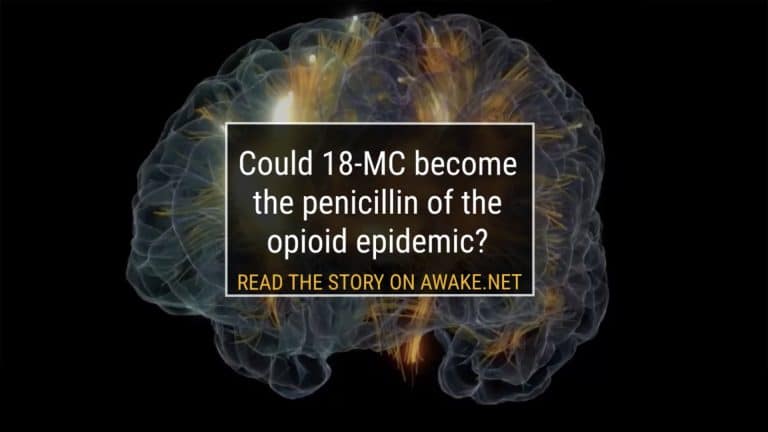 18 mc cover