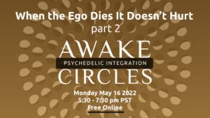 AWAKE CIRCLES.001