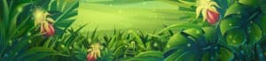 Vector illustration morning rainforest