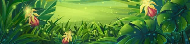 Vector illustration morning rainforest