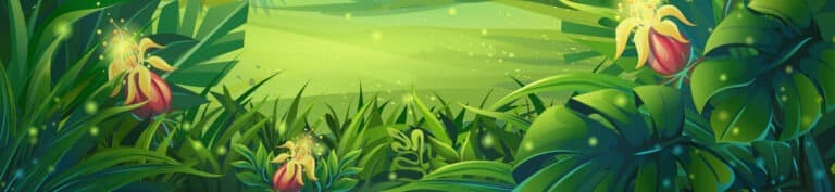 Vector illustration morning rainforest
