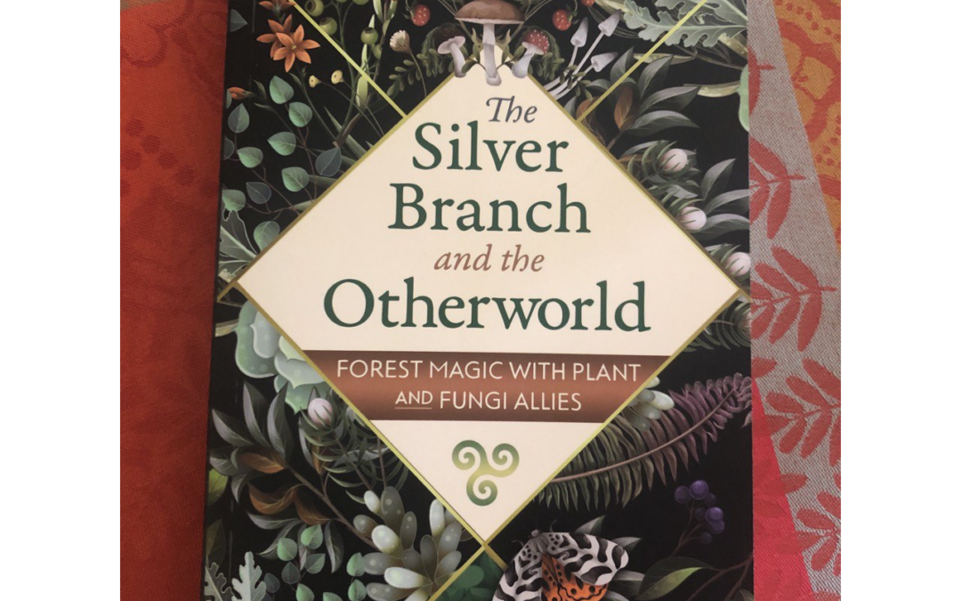 The Silver Branch and the Otherworld • Episode 42 • Free •