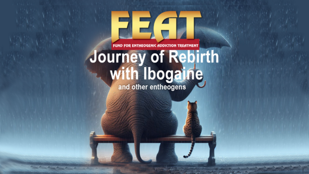 Journeyofrebirthwithibogainne