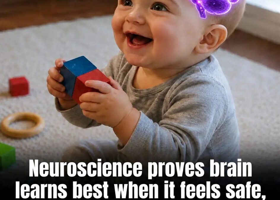 Children Learn Better When They Feel Safe.&nbsp;