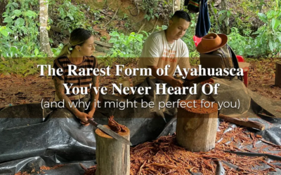 The Rarest Form of Ayahuasca You’ve Never Heard Of (And Why It Might Be Perfect for You)