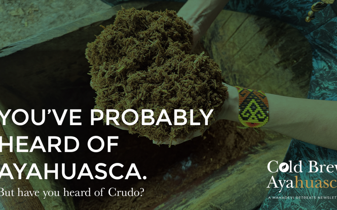 You’ve probably heard of Ayahuasca.&nbsp;But have you heard of Crudo?