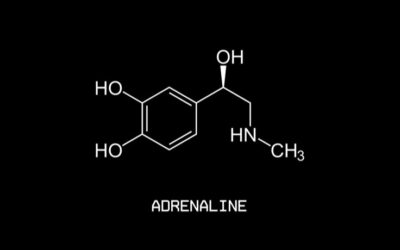 Adrenaline : The Superpower That Awakens When You Need It The Most.&nbsp;