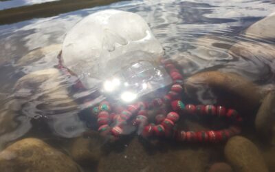 Ancestral Practice for Healing