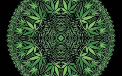 The Mechanisms Behind the “Munchies”: THC, the Endocannabinoid System, and the Spiritual Dimension