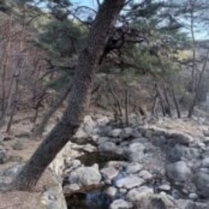 Profile photo of Ben Han